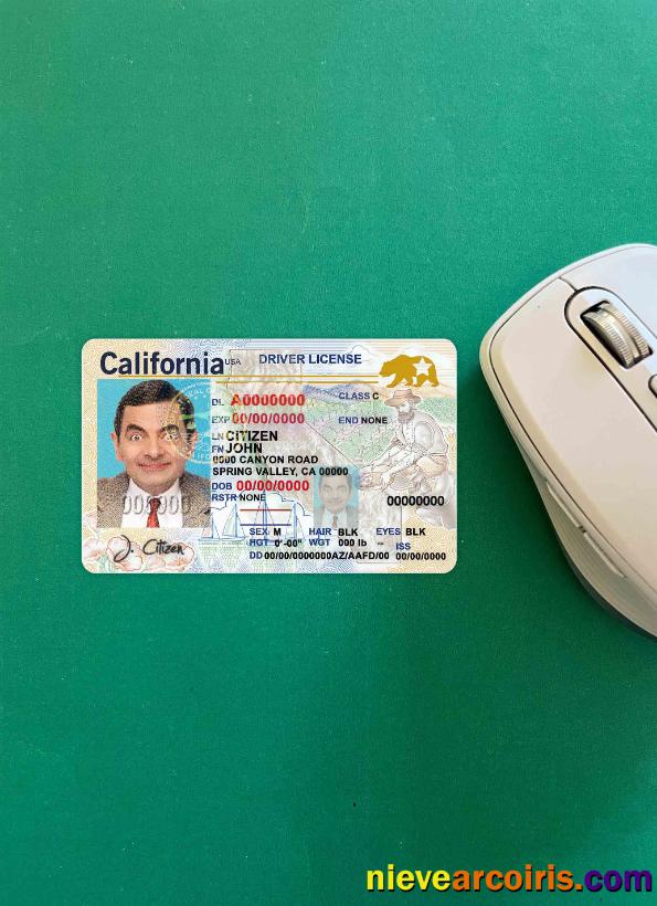 USA California driving license (2018, January – present) photolook